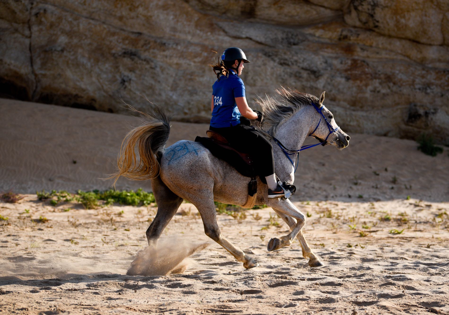 Highlights (73 of 231)_resized.jpg